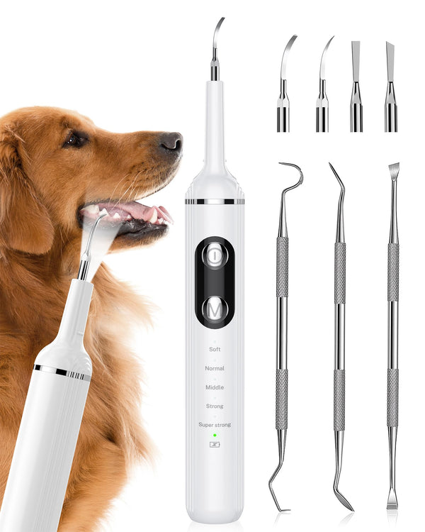 Plaque Remover for Teeth, Pet Tooth Brushing Kit, Dental Tools to Remove Plaque and Tartar, Safe for Dog and Cat, with LED Light, White