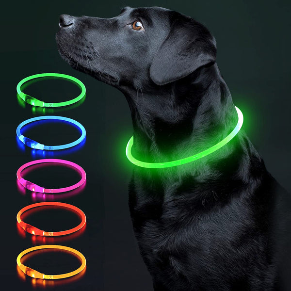 Colaseeme LED Dog Collar Light Up Dog Collars 1 Count USB Rechargeable TPU Glow Safety Basic Dog Collars, Please Do Not Use Fast Charging