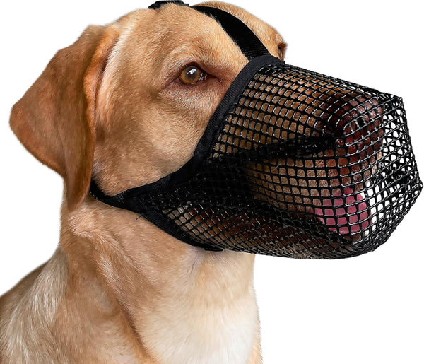 Mayerzon Dog Muzzle, Soft Mesh Covered Muzzles for Small Medium Large Dogs, Poisoned Bait Protection Muzzle with Adjustable Straps, Prevent Biting Chewing and Licking XL: Snout:12½"-13¾" Black