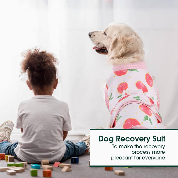 Dog Recovery Suit Female, Dog Onesie for Surgery, Female Spay and Male Neuter Onesie for Post-Op Care, Prevent Licking Puppy Onesies, Pink L